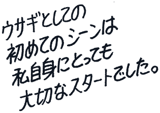 SILENT MEMORY TEE Usagi in Moonlight ver.