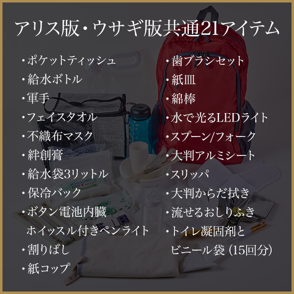 ウサギの学び 防災セット